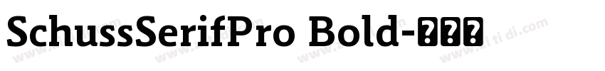 SchussSerifPro Bold字体转换